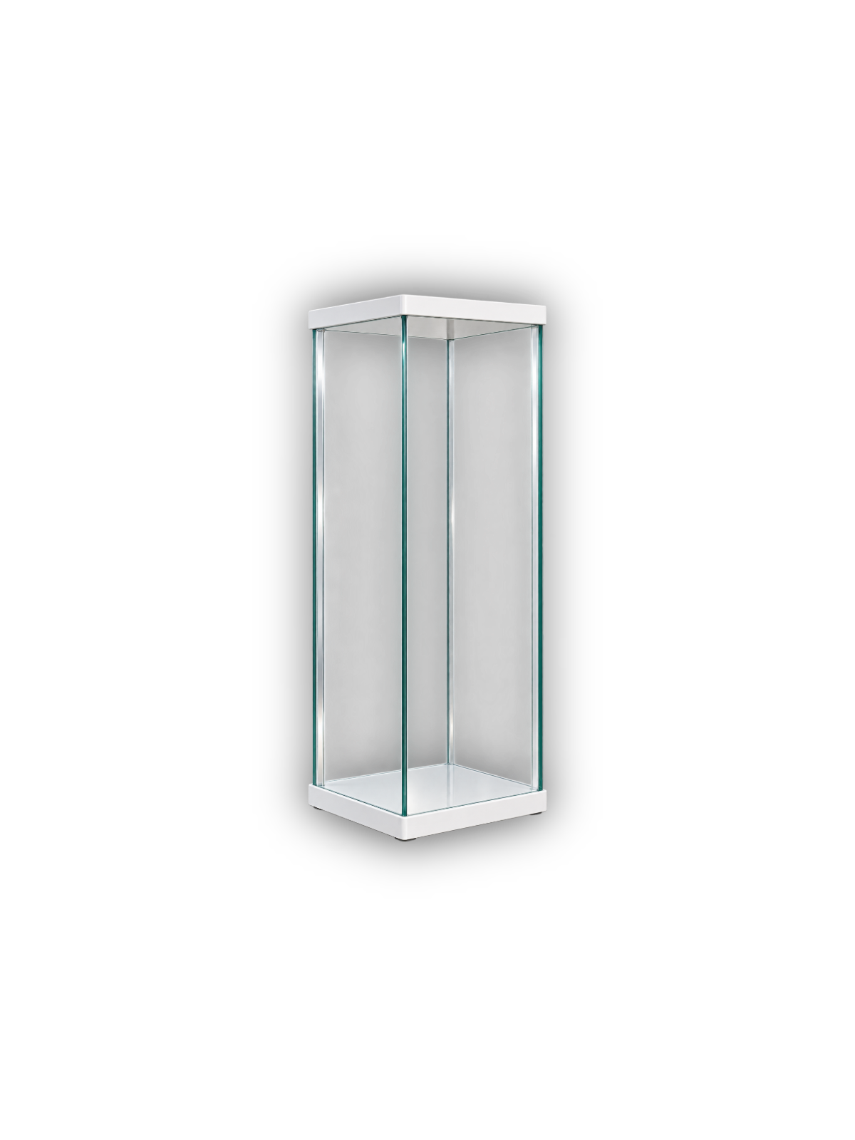 Ballonnen Display Box
